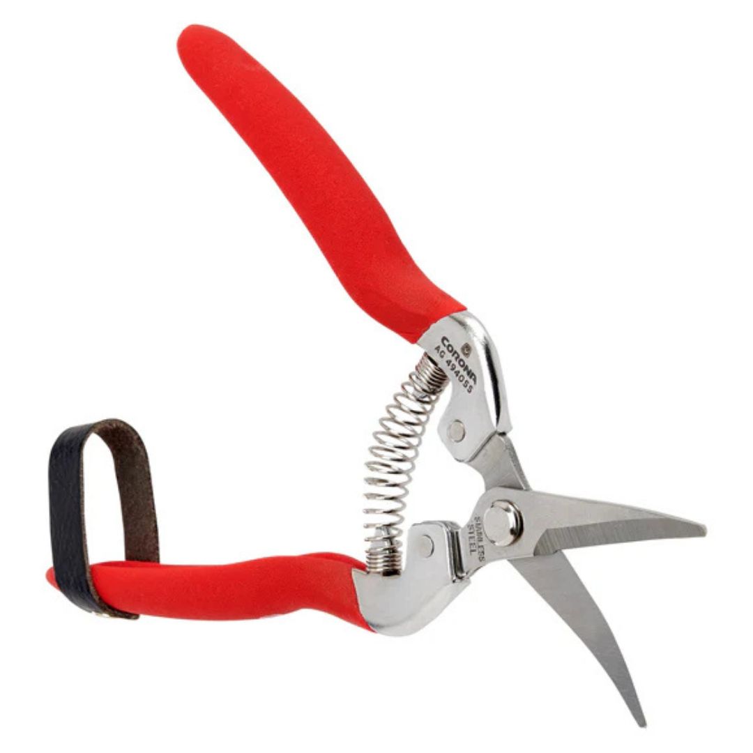 Long Curved Snips – Corona – 1 3/4″